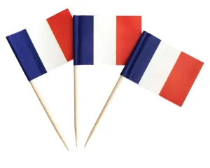 10 Mini French Flag Toothpick Decorations