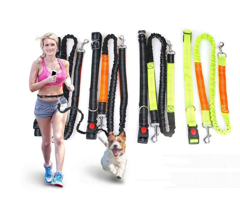 Hands-Free Premium Dog Running Leash with Adjustable Waist Belt