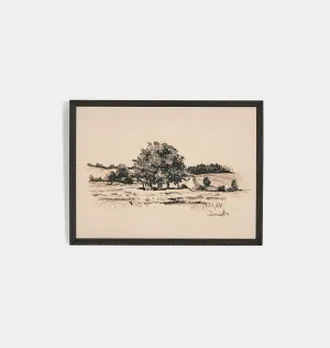 Path View by Dan Hobday Framed Print